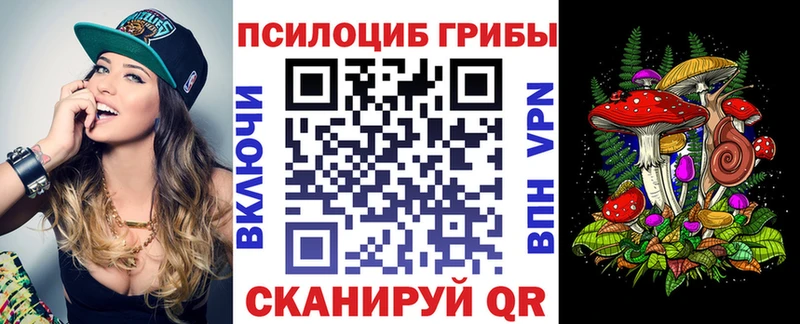 наркотики  Чишмы  Псилоцибиновые грибы MAGIC MUSHROOMS 